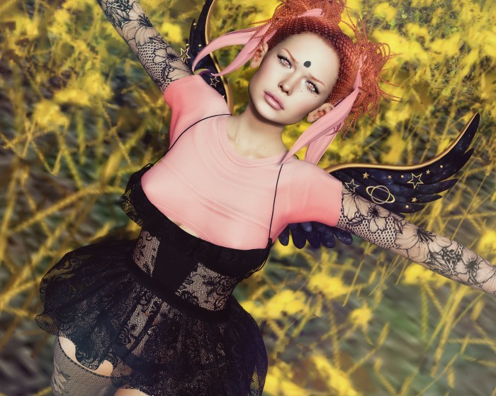 With Brave Wings She&nbsp;Flies